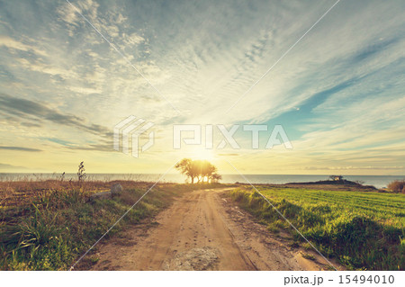 Road in field 15494010