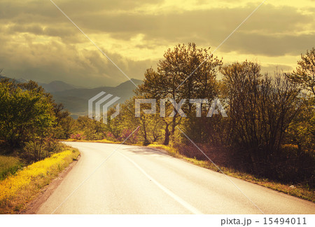 Road 15494011