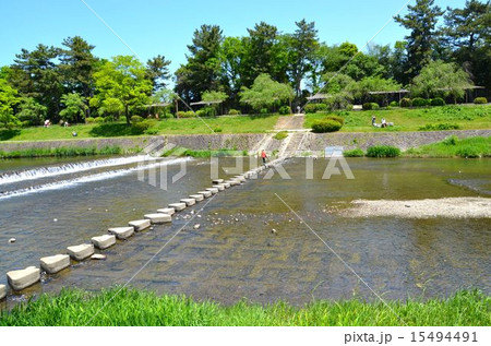 京都　賀茂川の風景 15494491