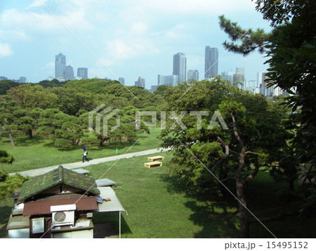 東京/浜離宮公園内 東京/浜離宮公園内 15495152