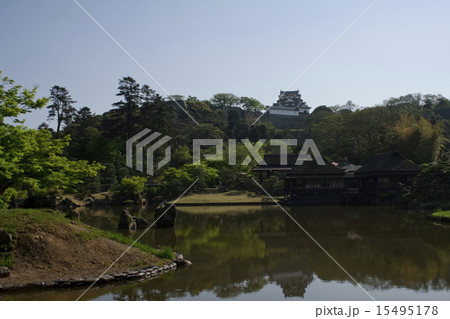 玄宮園からの彦根城 15495178