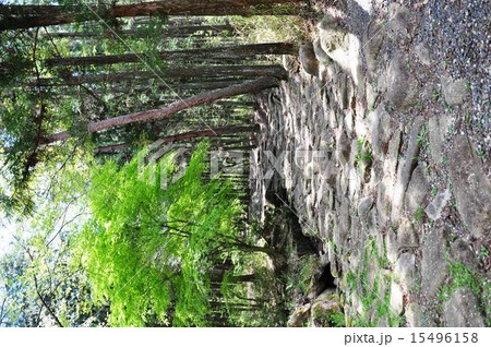 中山道琵琶峠 15496158