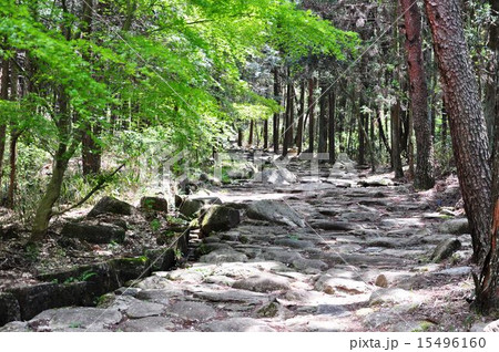 中山道琵琶峠 15496160