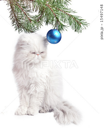 New Year's picture - a branch with New Year's ball 15497148