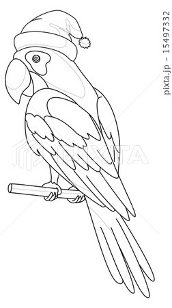 Parrot Santa Claus, contours 15497332