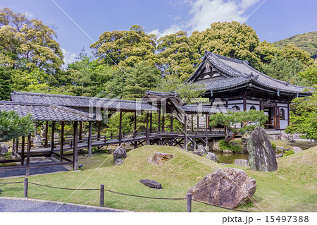 京都:高台寺 京都:高台寺 15497388
