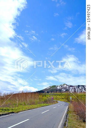 春の志賀草津道路 (3) 15497425