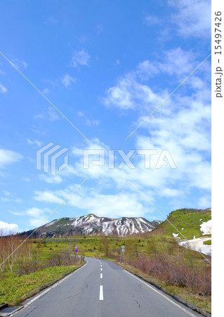 春の志賀草津道路 (4) 15497426
