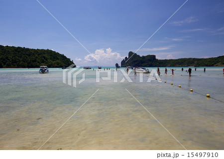タイ　ピピ島のビーチ 15497910
