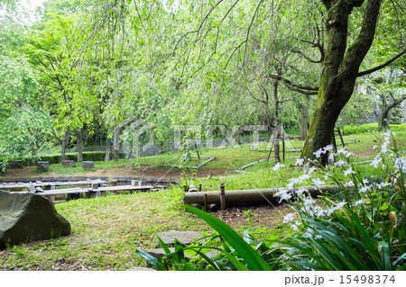 荒井城址公園 15498374