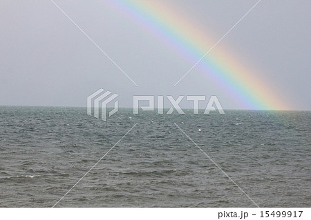 琵琶湖の湖面から出た虹 15499917