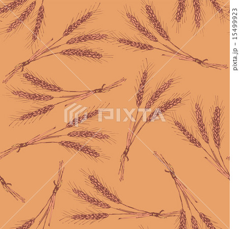Sketch wheat bran in vintage style 15499923