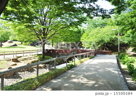 清水坂公園 清水坂公園 15500384
