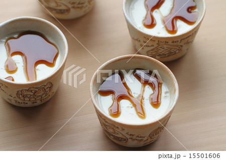 豆乳花 15501606