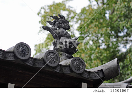 獅子隅蓋-1 15501667