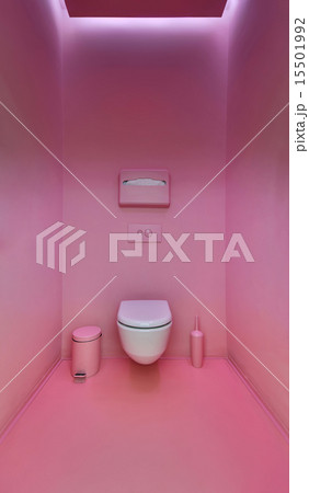 Public toilet in a modern loft style. Minimalism, toilet, brush, Public toilet in a modern loft style. Minimalism, toilet, brush, 15501992