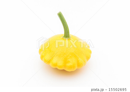 イエローパティーパンスクワッシュ 15502695