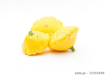 イエローパティーパンスクワッシュ イエローパティーパンスクワッシュ 15502699