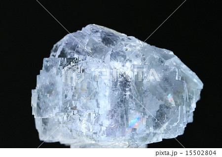 蛍石 蛍石 15502804