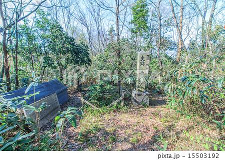 春の千人壷の風景 15503192