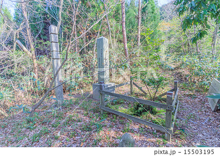 石見銀山の千人壷の風景 石見銀山の千人壷の風景 15503195