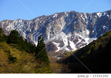 伯耆富士 大山 北壁 伯耆富士 大山 北壁 15503200