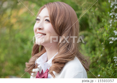 a portrait a portrait 15503357