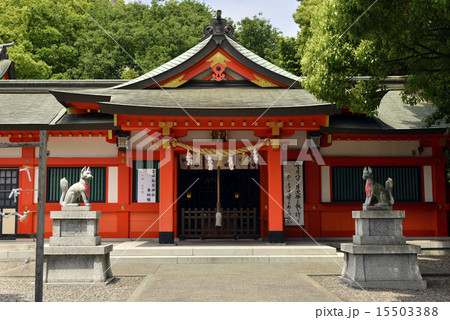 金祥稲荷神社、5月 金祥稲荷神社、5月 15503388