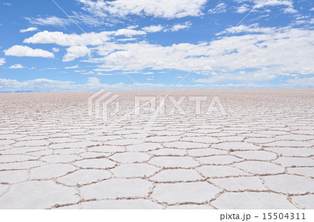 ウユニ塩湖　ボリビア 15504311