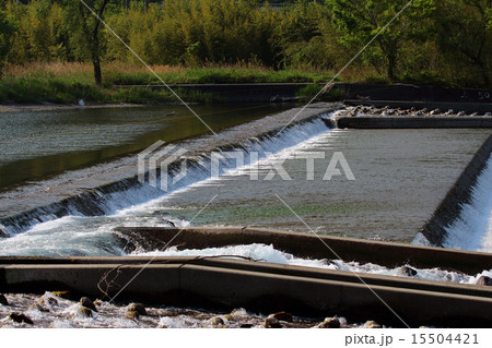 人工魚道アユ鮎 15504421