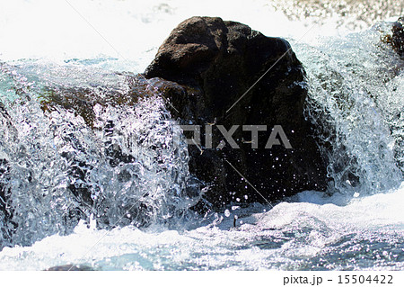 鮎の遡上 鮎の遡上 15504422