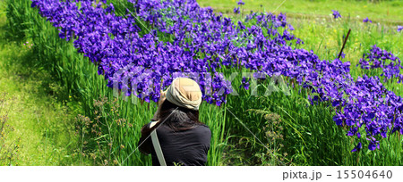 写真撮影 15504640