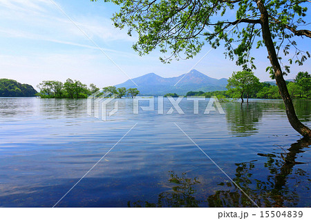 夏の桧原湖と磐梯山 夏の桧原湖と磐梯山 15504839