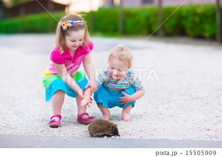 Two kids watching a hedgehog 15505909
