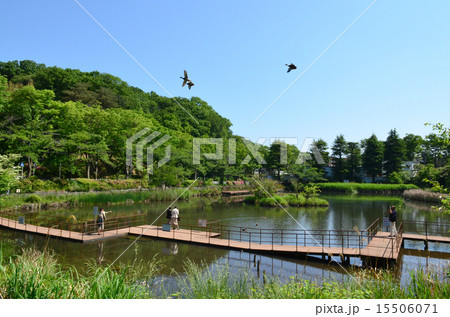 もえぎ野公園 15506071