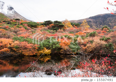 活火山茶臼岳 15507491