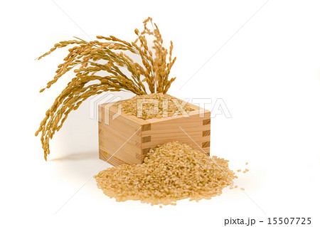 升に入った白米 15507725