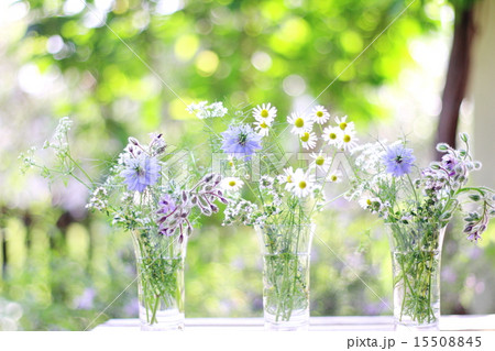 グラスに活けたハーブの花 15508845