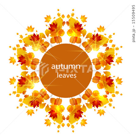 Autumn Leaves 15509495