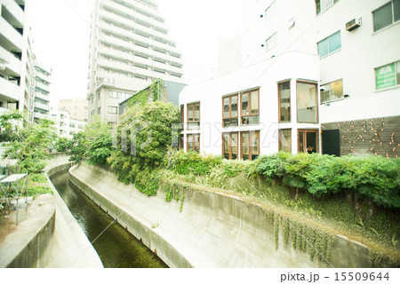 川沿いカフェレストラン 川沿いカフェレストラン 15509644