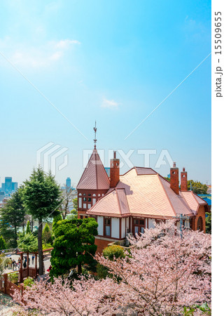 さくらと風見鶏の館 さくらと風見鶏の館 15509655
