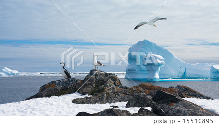 Antarctic landscape 15510895