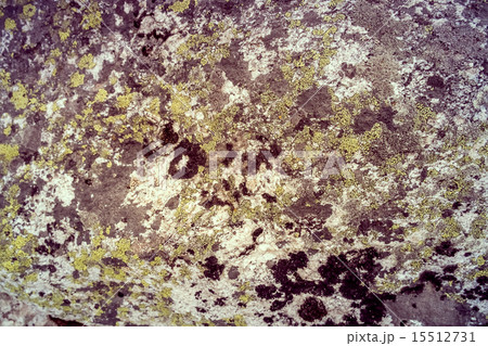 Rock with moss Rock with moss 15512731