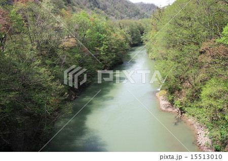 定山渓温泉 15513010
