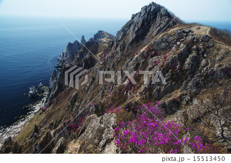 East  Japan Sea. 15513450