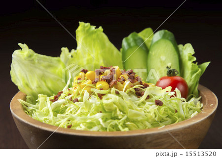 サラダ 15513520