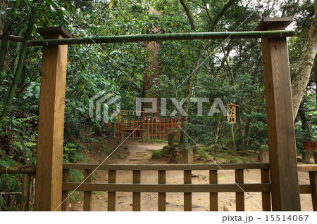 八重垣神社 15514067