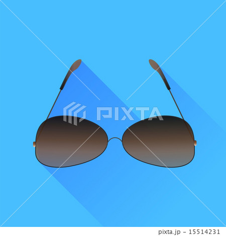 Sunglasses Sunglasses 15514231