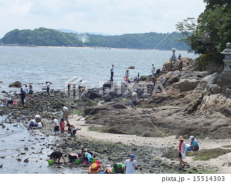 蒲郡　竹島 15514303