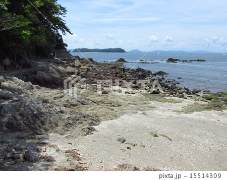 蒲郡　竹島 15514309